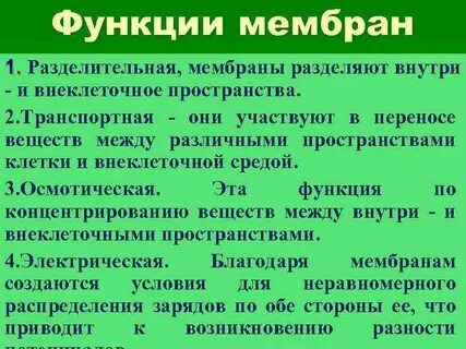 Функции мембранных