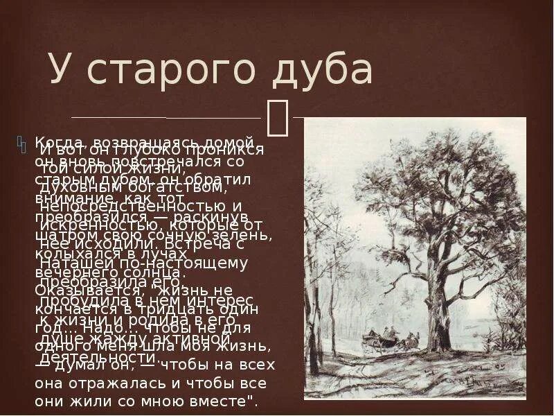 Текст песни у дуба старого. Рассказ старого дуба. Дуб Толстого в войне и мире. Сочинение про старый дуб.