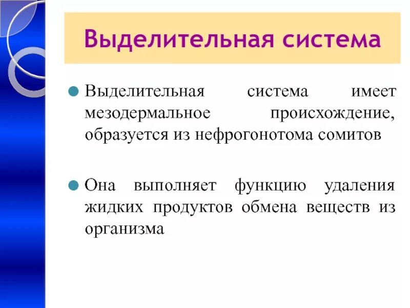 Мышцы мезодермального происхождения. Мезодермальное происхождение. Нервная трубка эмбриогенез. Мезодермальное происхождение. Эпителиальная ткань эктодермального происхождения.