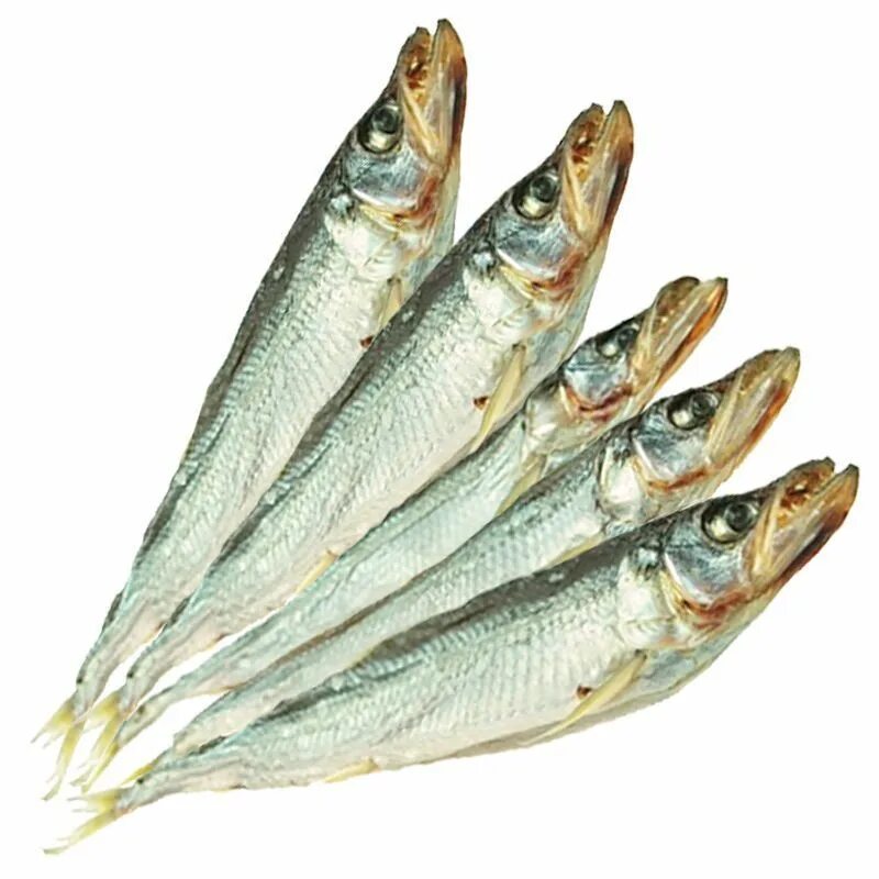 Озерная малоротая корюшка. Корюшка рыба. Корюшка европейская osmerus eperlanus. Корюшка малоротая. Морская малоротая корюшка.