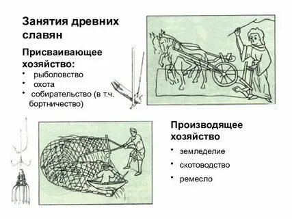 Занятие восточных славян скотоводство