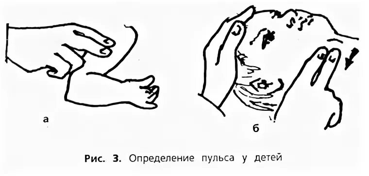 Измерение пульса на лучевой артерии. Мерить пульс. Практическая работа пульс и движение крови. Задание измерение пульса. Как правильно сереть пульс рукой.