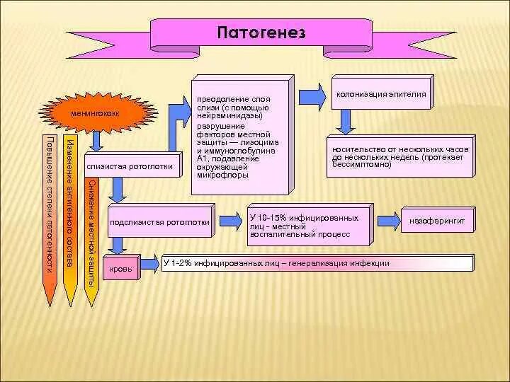Патогенез оспы. Патогенез оспы