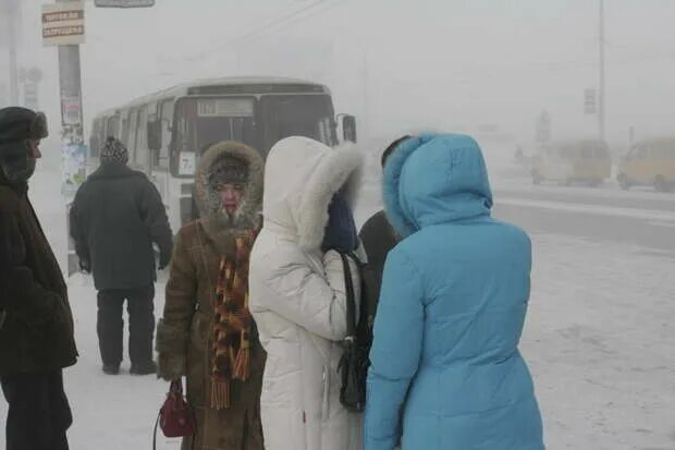 Прогноз зимы 2025 года