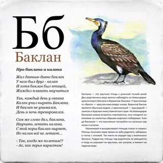 Бакланы текст