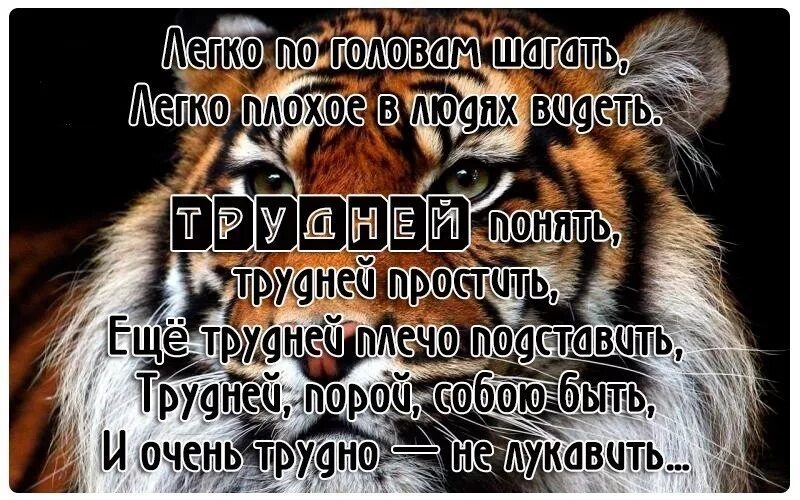 У меня всё хорошо. С мужчиной должно быть хорошо плохо жить я и сама смогу. Цитаты про обвинения. Легко быть плохим. Легко быть плохим.