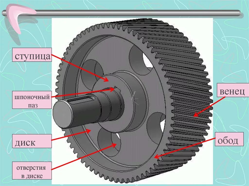 Зубчатый венец (колесо зубчатое). Ступица, диск, обод, зубчатый венец. Венец зубчатого колеса. Ступица обод диск зубчатого колеса. Венец ступицы