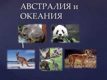 Австралия и океания презентация