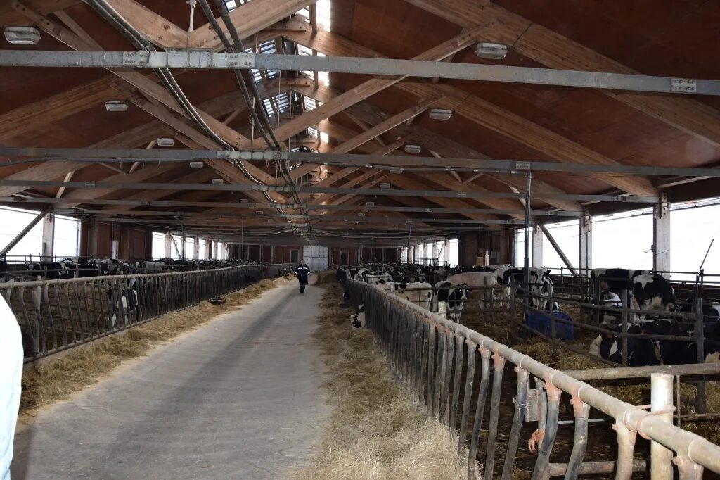 сдс ваганово кемеровская область. оао ваганово кемеровская область животноводческий комплекс. промышленновский район ваганово. село ваганово кемеровская область. ао ваганово сдс.