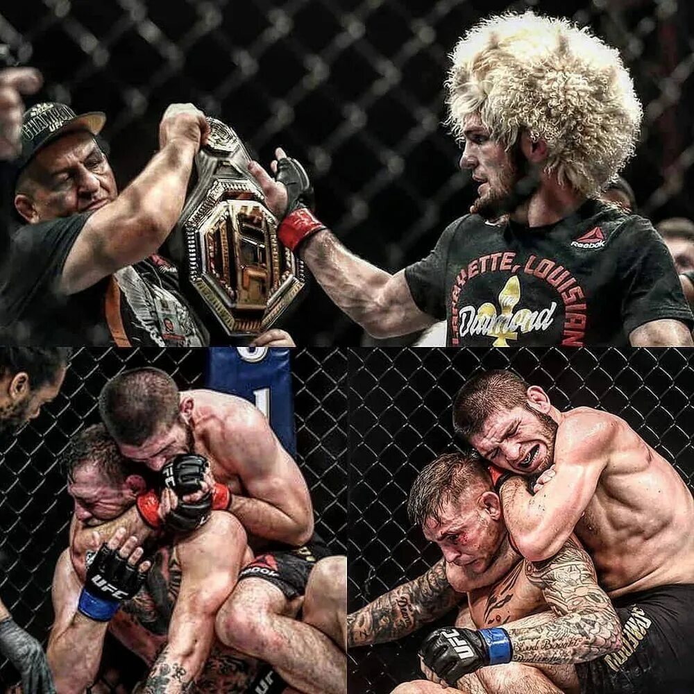 Хабиб нурмагомедов. Ufc хабиб. Ufc хабибу нурмагомедову. Боец мма хабиб нурмагомедов. Хабиб нурмагомедов джастин гейджи бой.