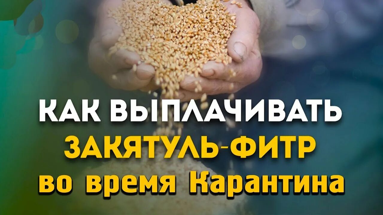 Закят аль фитр деньгами. Категории людей кому выплачивают закятуль фитр. Намерение на закятуль фитр. Закятуль фитр сколько надо давать деньгами 2024. Хадисы о закятуль фитр.