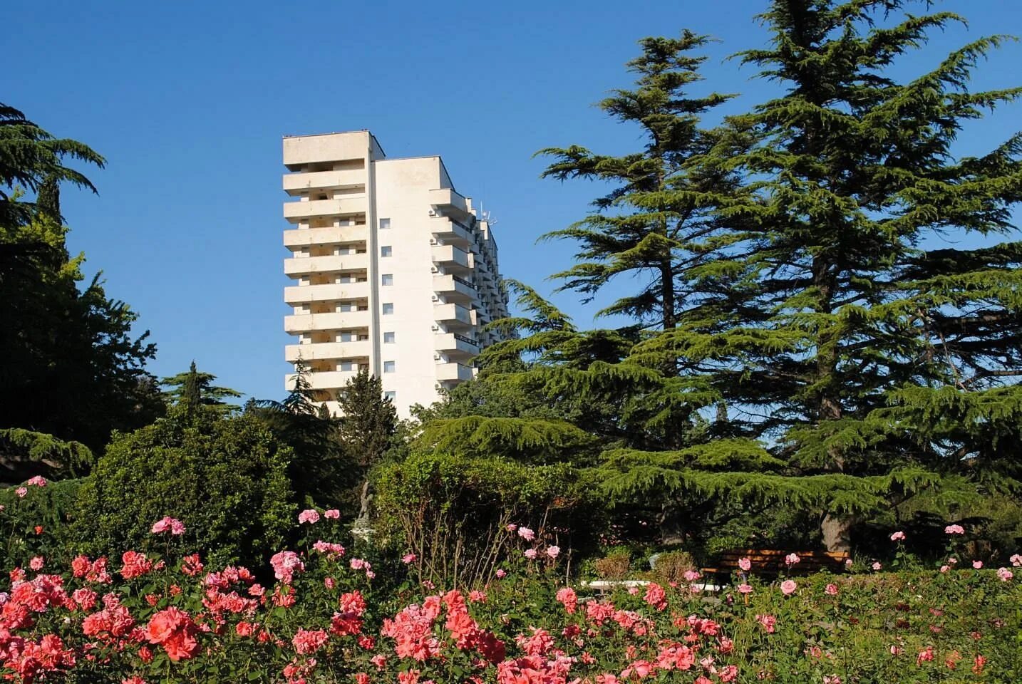 Сайт санатория форос. Санаторий "форос"ялта, крым. Форос, санаторий 4*. Санаторий форос ялта. Форос велнесс парк.