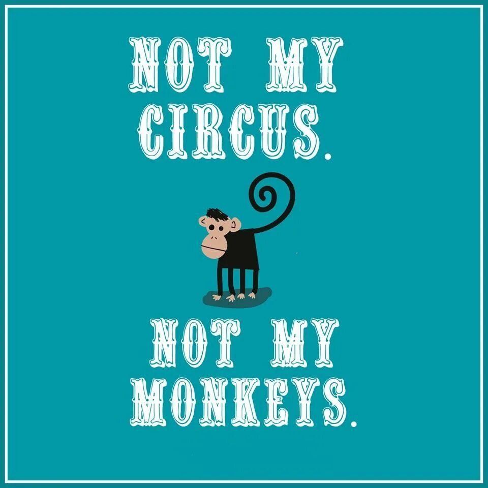 Is not my. Not my circus not my monkeys. not my circus not my monkeys открытка. not my circus not my monkeys нашивка. тетрадь с обезьяной.