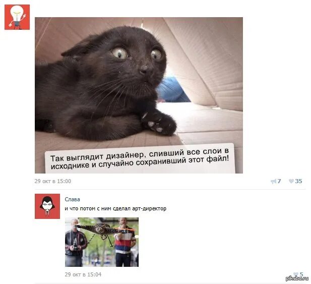 Шуток нет