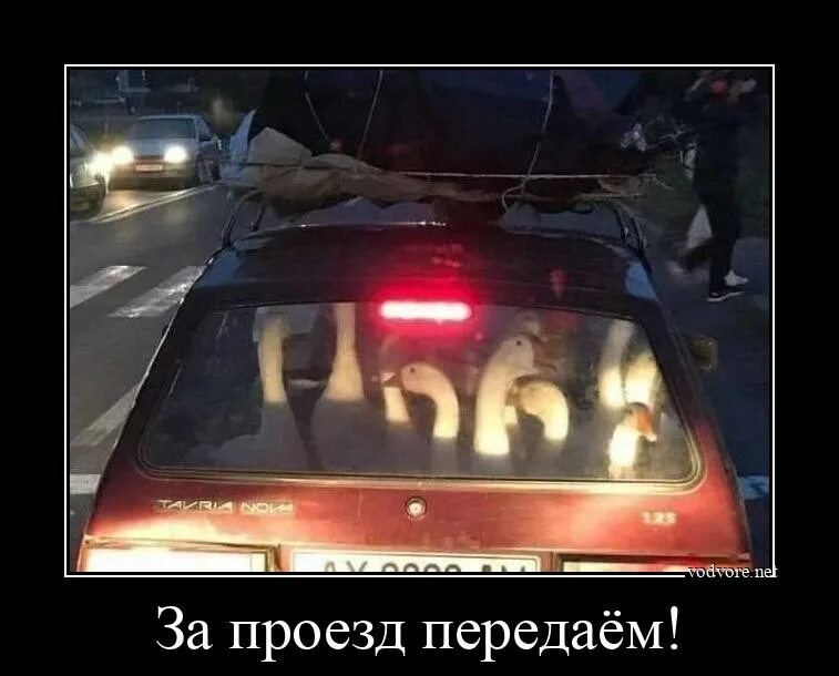 Я плачу проезд. За проезд передаем. передавайте за проезд смешные. демотиваторы смешных ситуаций на дорогах. за проезд передаем мем.