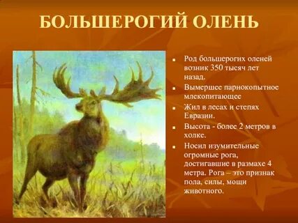 Назад род