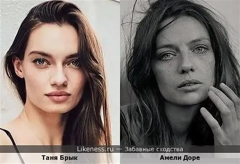 Ameli модель. Ameli модель