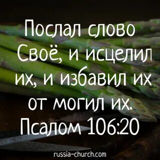 Слова пришедшие из библии