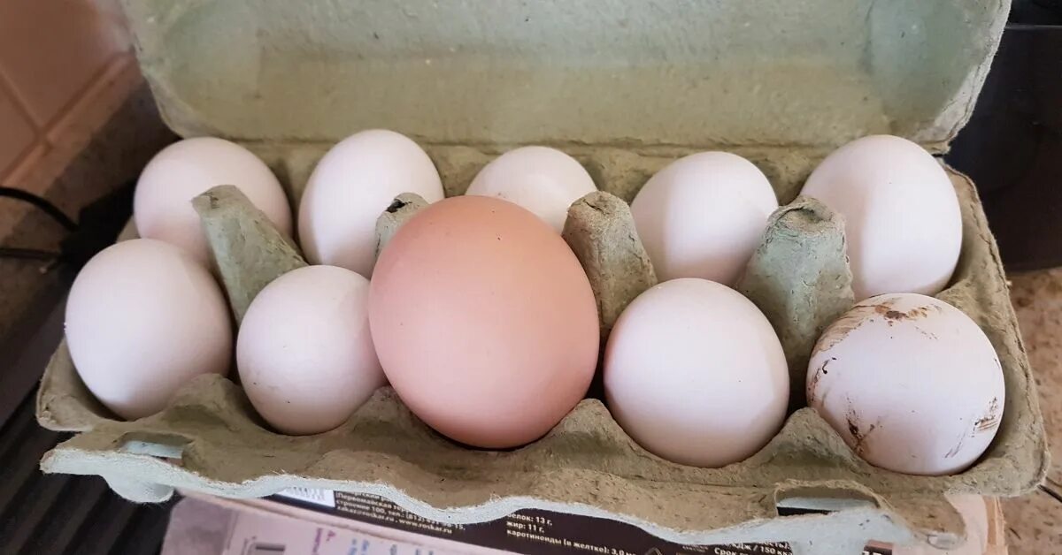 Русские огромные яйца. Большие куриные яйца. Громадные яйца. Большия яйца. Огромные куриные яйца.