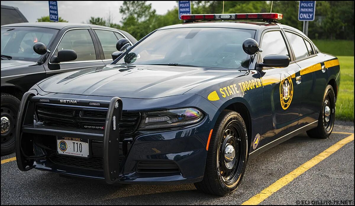 Полицейский Додж Чарджер. Додж Чарджер полиция NYPD. Dodge Charger srt8 Police. Додж Чарджер 2020 полицейский. State cars