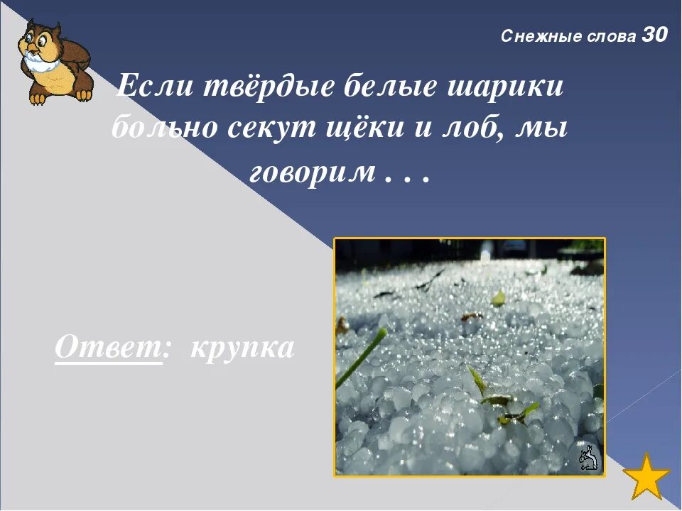 В городе снежном текст. Мокрядь Снежная это. Что такое мокрядь 3 класс. Синонимы к слову снег. Обозначение слова мокрядь.