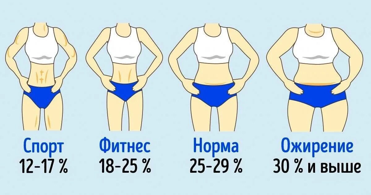 Процент жира в организме. Норма жира в организме женщины. Норма жира у женщин. Нормальный процент жира в организме женщины.