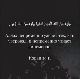 Лицемер 5