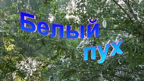 Соловьи групп