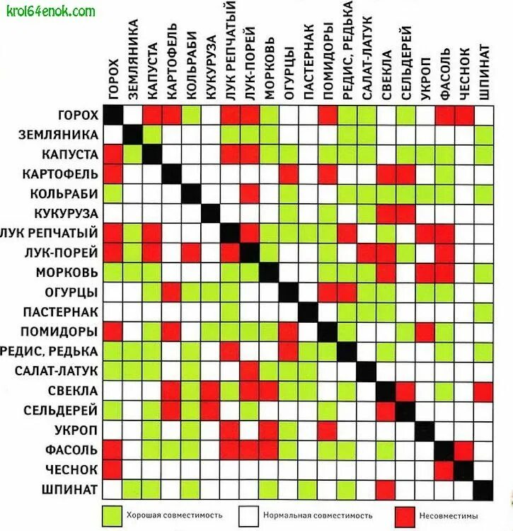 Совместимость игр. Таблица совместимости посадок овощных культур. Соседство овощей на грядках таблица совместимости растений. Огородное соседство овощей таблица. Таблица посадки огородных растений совместимость.