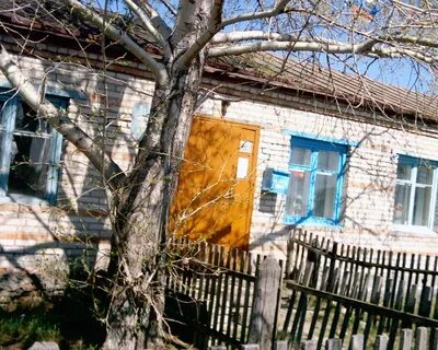 Золотая грива новосибирская область