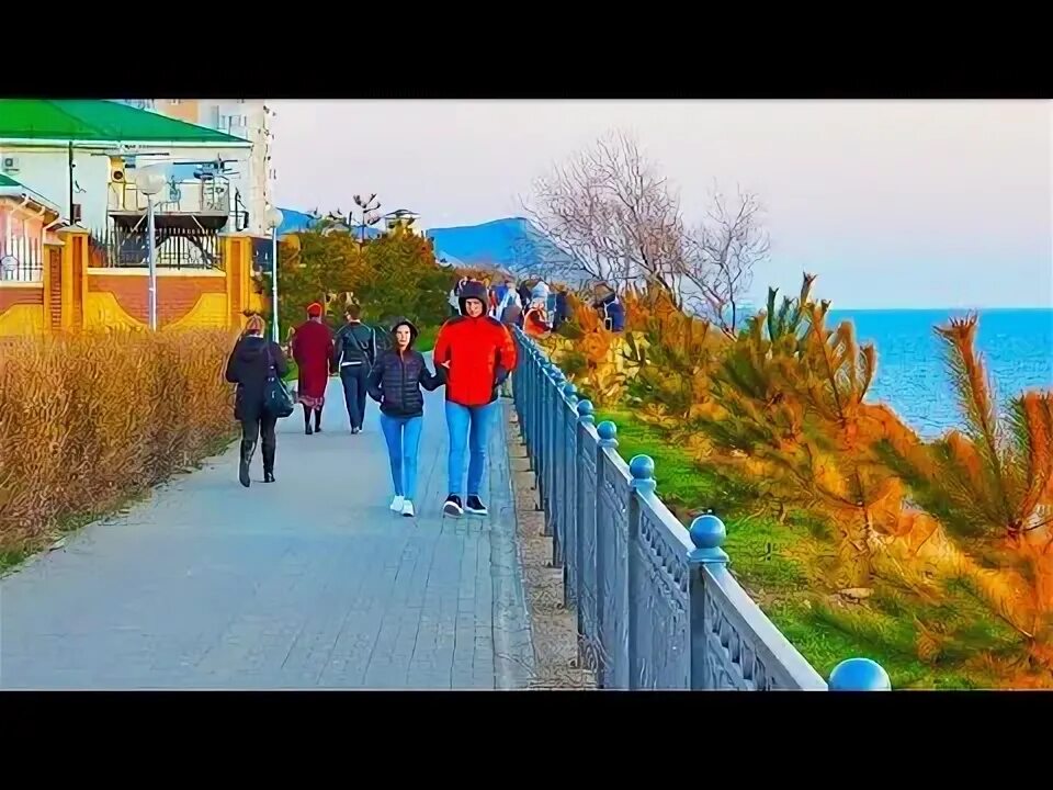 Анапа видео анапчане. Анапа в феврале. анапа в феврале фото. деревья анапы апрель. деревья в воде в анапе.