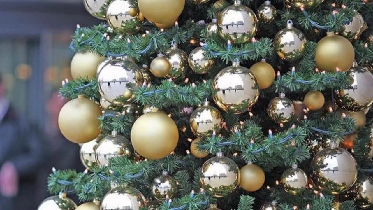Елка с шарами. Новогодняя елка с серебристыми шарами. Золотые шары на елку. Новогодняя елка.