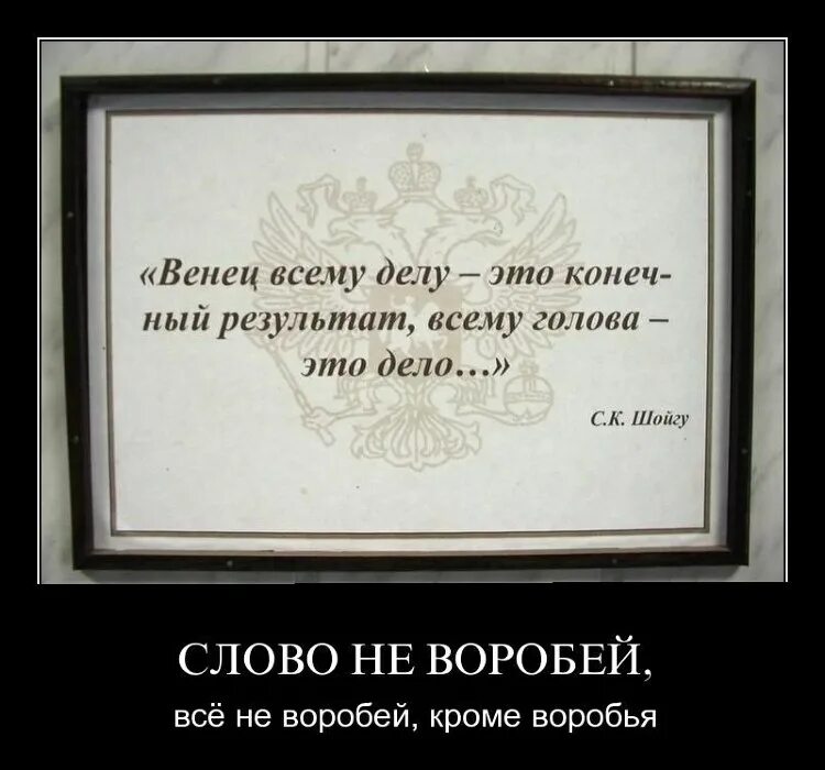 Ваша любимая пословица. Слово не Воробей шутки. Слово не Воробей смешное продолжение. Слово не Воробей прикол. Словом и делом.