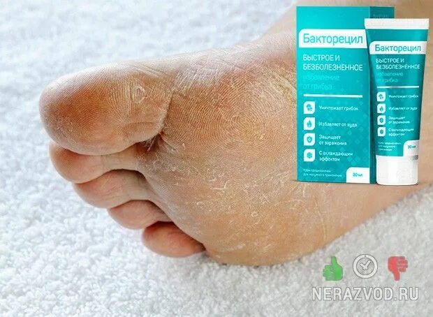 бакторецил