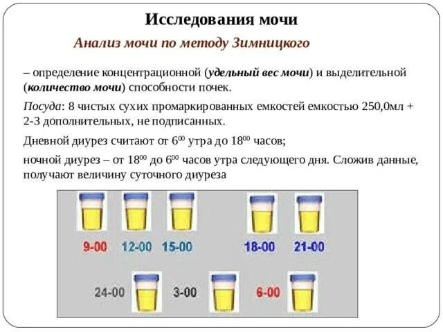 Пробы зимницкого при заболеваниях почек. - Анализ мочи по Нечипоренко; - анализ мочи по Зимницкому. Исследование мочи по Нечипоренко и Зимницкому. Алгоритм проведения исследования мочи по Зимницкому. Анализ мочи по Нечипоренко и Зимницкому.