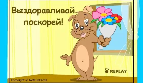 Быстро выздоровит ошибка