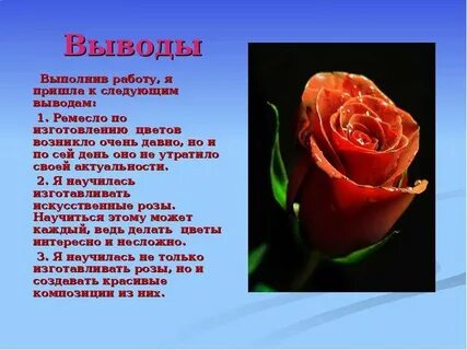 Факты о розе