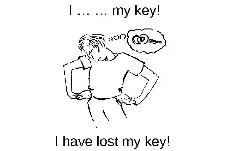 Lost my Keys. I have Lost my Keys. Tom has Lost his Key. He Lost his Keys. I lost my key last night