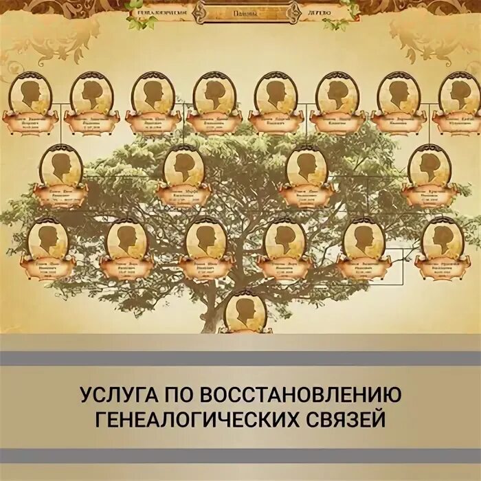 Родословная дерево королевы виктории. Что изучает генеалогия кратко. Генетическое дерево. Генеалогия как вспомогательная историческая дисциплина. История происхождения генеалогии.