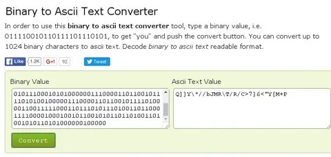 Type binary