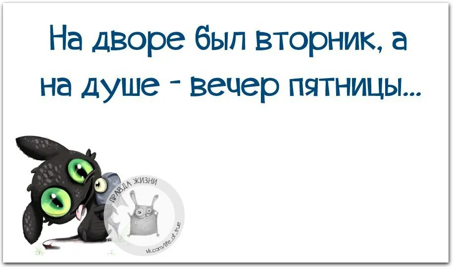 Среда тоже. Шутки про вторник. Прикольные фразы про вторник. Фразы про вторник смешные. Вторник цитаты.