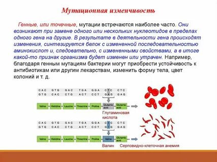 Точечная мутация