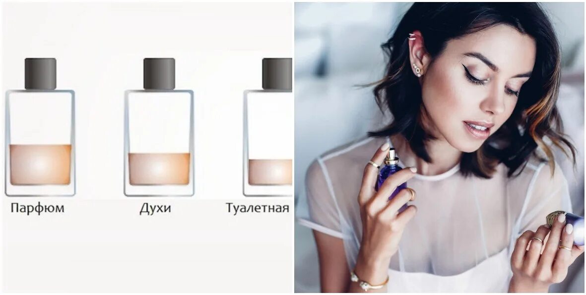 Стойкость духов туалетной. Стойкость духов туалетной. Стойкость духов туалетной. Концентрация ароматов в парфюмерии. Стойкость духов туалетной.