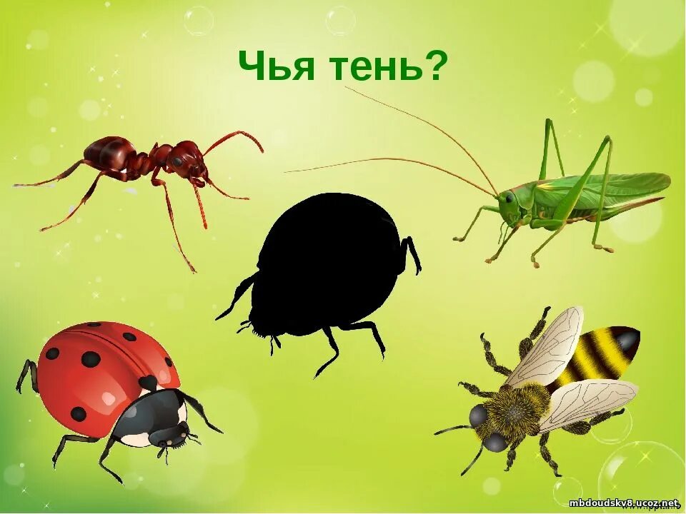 насекомые детям 4 5 лет. насекомые детям 4 5 лет. насекомые детям 4 5 лет. раскраска. тематическое занятие насекомые.