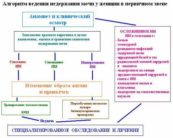 Энурез у мужчин причины. Типы недержания мочи классификация. Рекомендации пациенту с недержанием мочи. Обследования при недержании мочи. Алгоритм ведения пациентов с недержанием мочи.