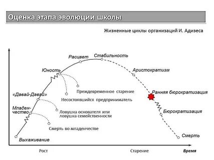 Жизненный цикл компании по адизесу
