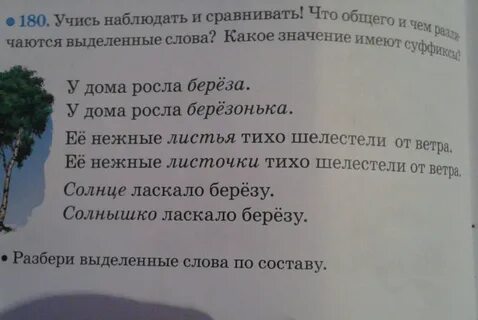 Разбор слова береза 2 класс
