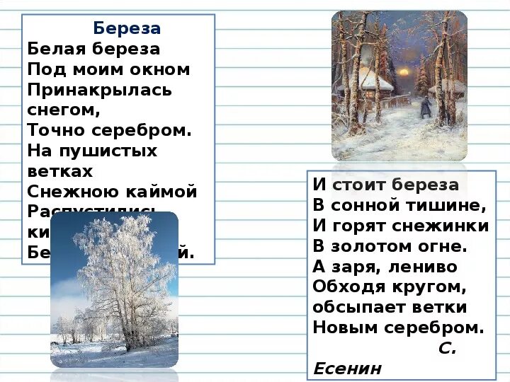 И стоит береза под моим окном. Белая берёза под моим окном. береза белая береза под моим окном. стих про березу белая береза под моим окном. белая берёза под моим окном принакрылась снегом.