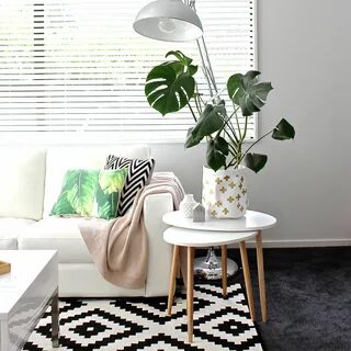 Plant 2017