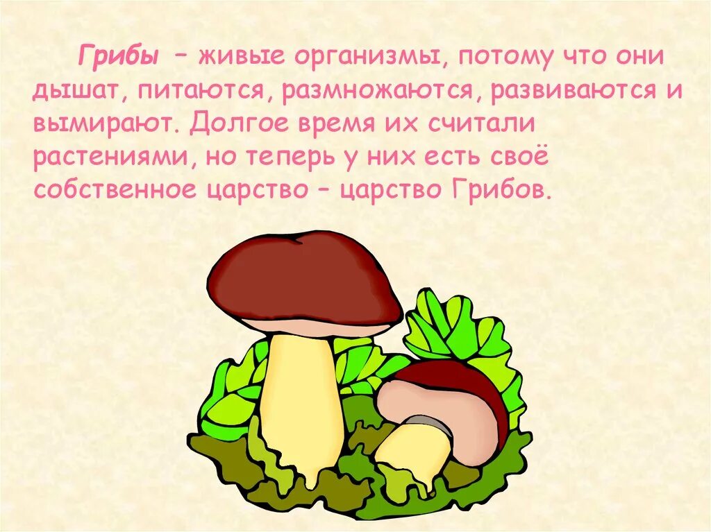 Грибы это живые организмы. Грибы 4 класс. Тема грибы 4 класс. Грибы живые организмы так как они.